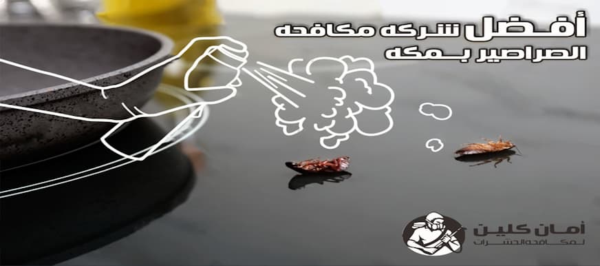 شركة مكافحة الصراصير بمكة